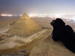 fotografies-il·legals-19 (2)