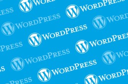 Perquè WordPress és el millor CMS?